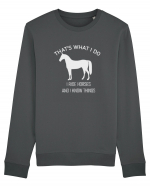 I Ride Horses Grey Design Bluză mânecă lungă Unisex Rise