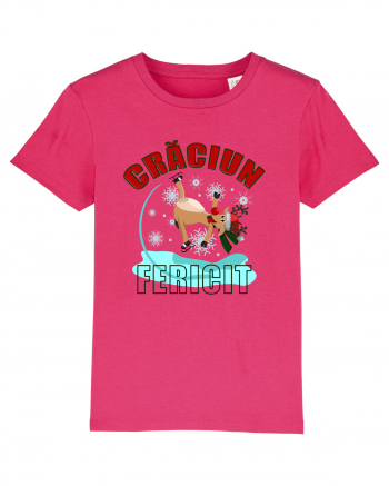 Craciun fericit Raspberry