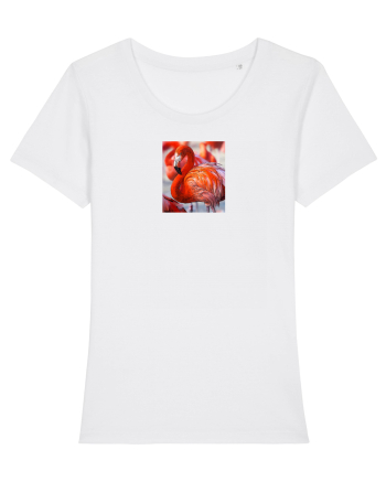 MrFlamingo White