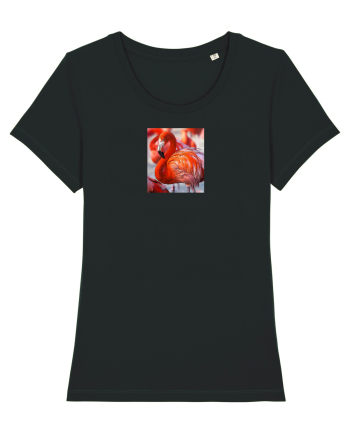 MrFlamingo Black