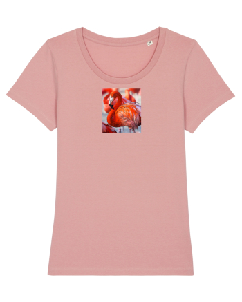 MrFlamingo Canyon Pink