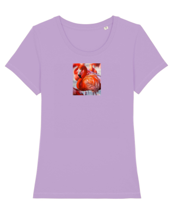 MrFlamingo Lavender Dawn