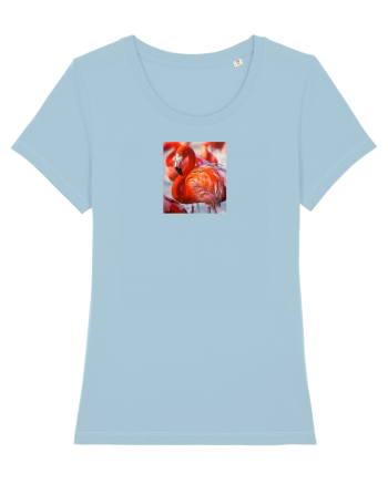 MrFlamingo Sky Blue