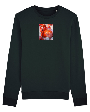 MrFlamingo Black