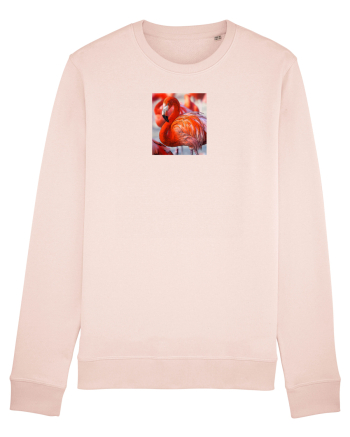 MrFlamingo Candy Pink