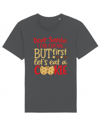Dear Santa I Can Explain Anthracite