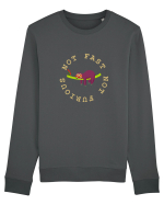 Fast and Furious Design Bluză mânecă lungă Unisex Rise