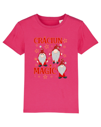 Craciun magic cu gnomi Raspberry