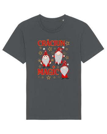 Craciun magic cu gnomi Anthracite
