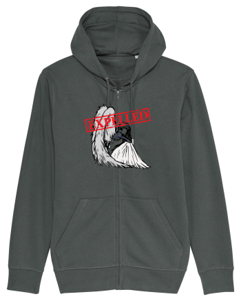 fallen angel Anthracite