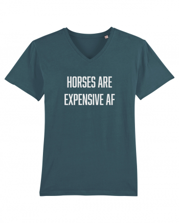 Horses are Expensive AF Stargazer