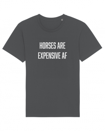 Horses are Expensive AF Anthracite