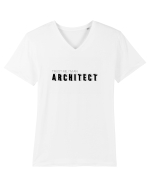 Trust me, I'm an Architect/Arhitect Tricou mânecă scurtă guler V Bărbat Presenter