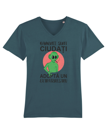 Adopta un extraterestru Stargazer
