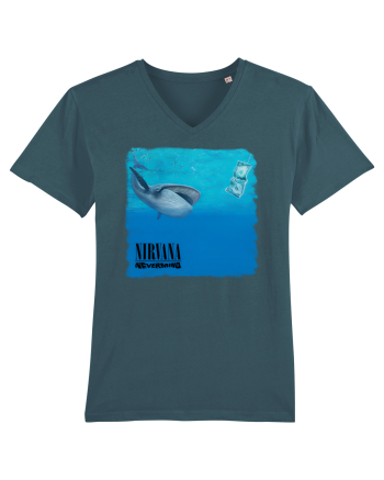 Nirvana Nevermind Stargazer