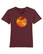 Aries Astrological Sign/BERBEC/Zodiac Tricou mânecă scurtă guler V Bărbat Presenter