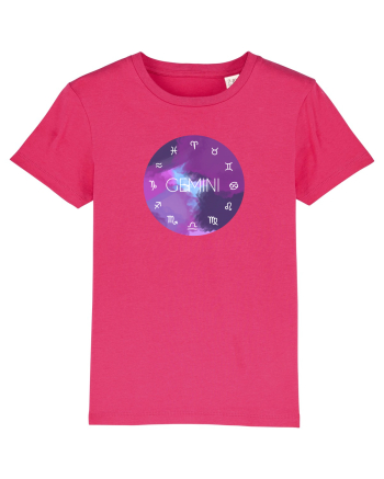 Gemini Astrological Sign/GEMENI/Zodiac Raspberry