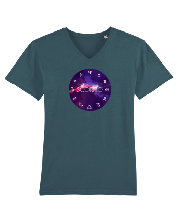 Scorpio Astrological Sign/SCORPION/Zodiac Stargazer