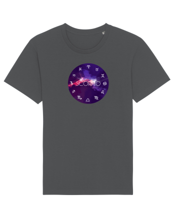 Scorpio Astrological Sign/SCORPION/Zodiac Anthracite