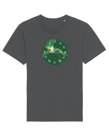 Capricorn Astrological Sign/COPRICORN/Zodiac Anthracite