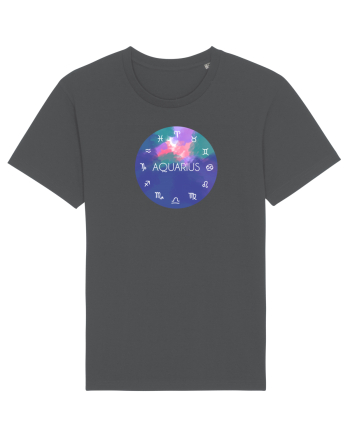 Aquarius Astrological Sign/AQUARIUS/Zodiac Anthracite