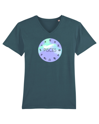 Pisces Astrological Sign/PISCES/Zodiac Stargazer