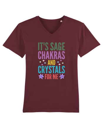 Tricou de vrajitoare de Halloween Burgundy