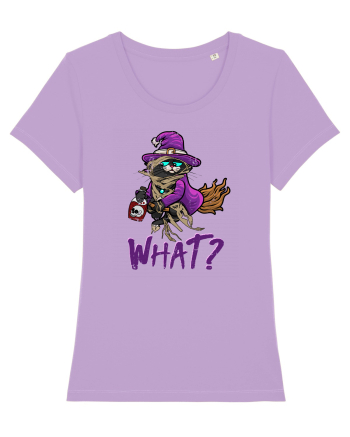 Pisica ucigasa de Halloween. What? Ce? Nimic ciudat la o pisica Lavender Dawn