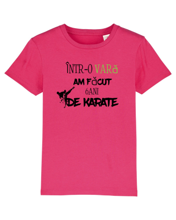 6 ani de karate  Raspberry