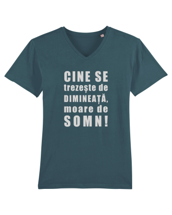 Dimineața Stargazer