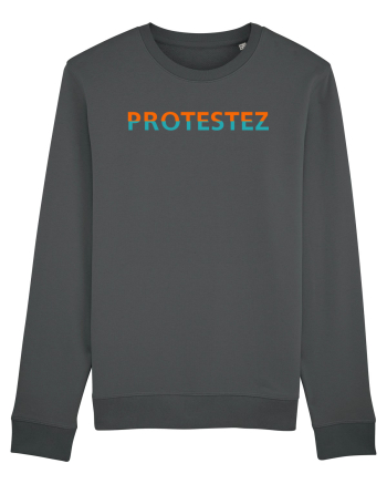 Protestez Anthracite