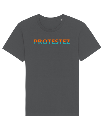 Protestez Anthracite