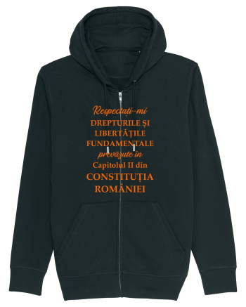 Drepturile si libertatile fundamentale Black