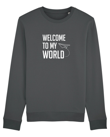 Welcome to my World Anthracite