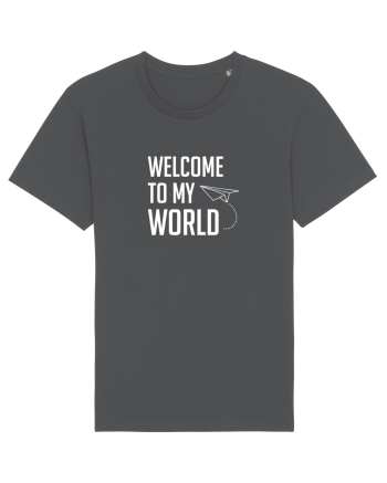 Welcome to my World Anthracite