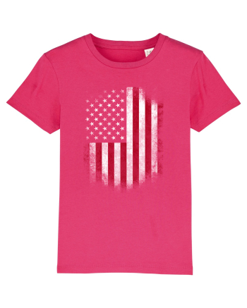 USA Flag Raspberry