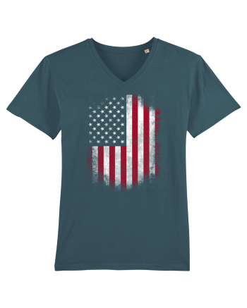 USA Flag Stargazer