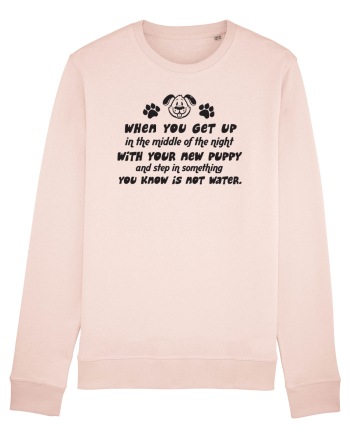 New puppy poop Candy Pink