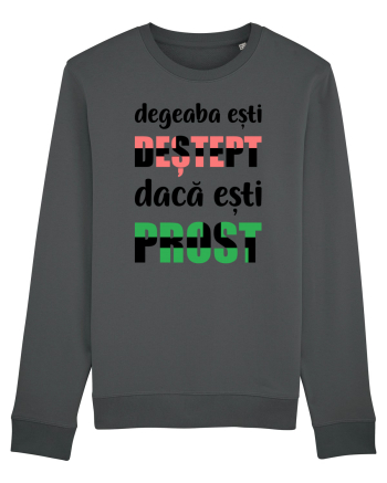 Degeaba Anthracite