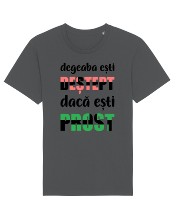 Degeaba Anthracite