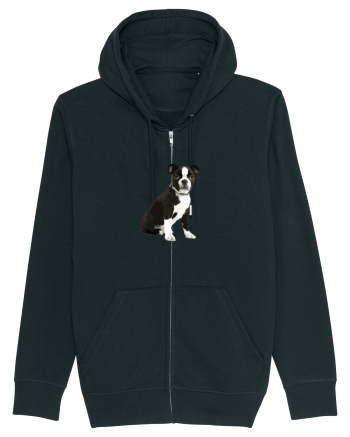 Catelus Black