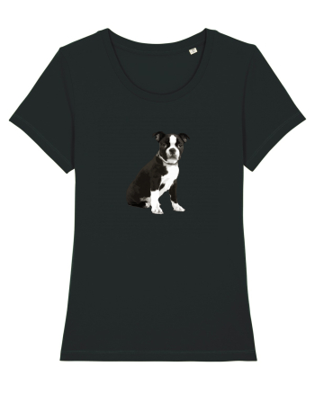 Catelus Black