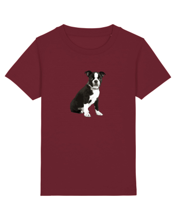 Catelus Burgundy