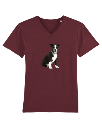 Catelus Burgundy