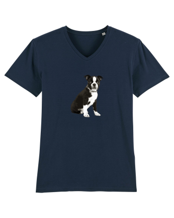 Catelus French Navy