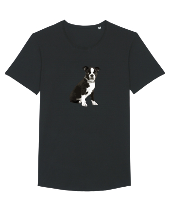 Catelus Black