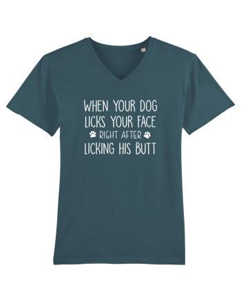 Funny Dogs  Stargazer