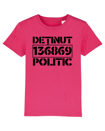 Detinut Politic Raspberry