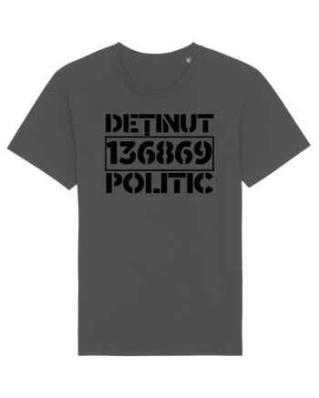 Detinut Politic Anthracite