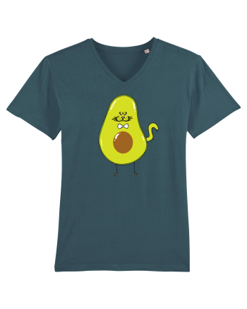 CATvocado Stargazer
